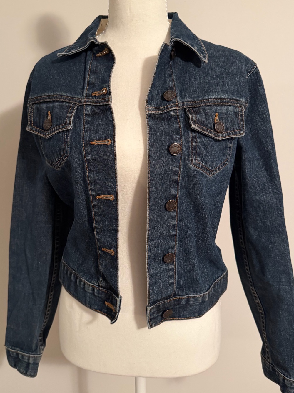 American Eagle Outfitters Dark Indigo Denim Jacket